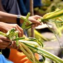 교대약국 이미지