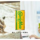 카피메이트 이미지
