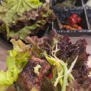 갈매기7번가 이미지