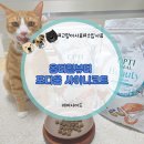 샤이니덴탈 이미지