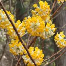 남해해상랜드 이미지