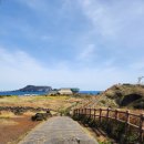 신양사세탁소 | 제주 4박 5일 가족 여행 숙소인 휘닉스 아일랜드 후기 (로얄룸 룸컨디션 / 섭지 라운지 / 섭지코지...