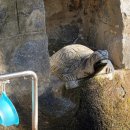 남장사약수터 이미지