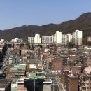 390 분당신문