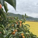 박곡리경로당 이미지