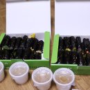 맛자랑꼬마김밥 이미지