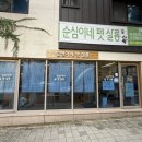 순심이네 펫살롱 네이버블로그