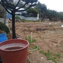 유한농장 이미지