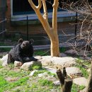 옛섬진강 이미지