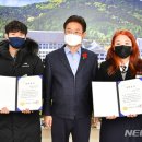 포플러