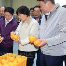 월향농장 이미지