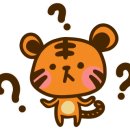 앤조이터키 이미지