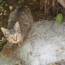 정애농장 이미지