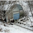 숲속농장 이미지