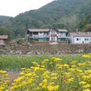 이동 원천마을 이미지