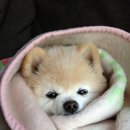 생활중국어회화 이미지