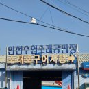 [인천/소래포구] 동창들과 함께한 1박 2일 먹방 여행!ㅣ 고래수산 낮술부터 솔직한 2차 후기까지...