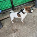 하대동271 이미지