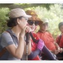 외연도2 이미지