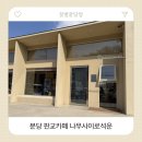 나무사이로 | 분당 판교 카페 나무사이로 석운 후기