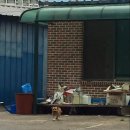 청포마루 이미지