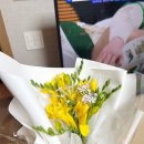 폴인럽 애견&고양이 미용 돌봄&호텔 이미지