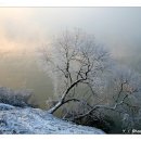 강가에아침 이미지