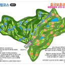 (주)새곳 비스타밸리 골프연습장 | 용인지역 대표 회원제~ 88cc골프회원권 명의개서 해드렸어요~