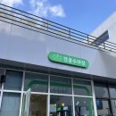 견공수라상 이미지