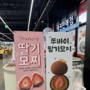 홍성그린 | 홍성 내포 디저트 맛집 설향모찌 내포점 방문 후기