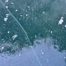 팀폴라리스 | 안동 대사리빙박 노지캠핑 후기 / 차박 및 백패킹 가능(폴라리스 P1)