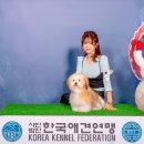 꼬똥몽드 | 2025년 12월 수원 도그쇼 꼬똥몽드 모카(Moka) — 상보다 즐거움이 먼저였던 날 Coton de Tuléar...