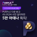 퍼플존