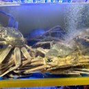 백번횟집 이미지