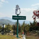커피팀버팔공산점 | 팔공산 단풍 풍광이 한 눈에 들어오던 산속 카페 커피팀버 팔공산점