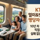 해담은 호스텔 | 룸... 콜드... 체인지...? 해외 호스텔에서 기 안 죽고 당당하게 컴플레인 하는 비법 (feat. ChatGPT)