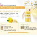 일리몰