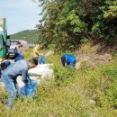 약산면-2 이미지