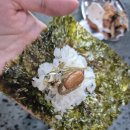 목현마트 | 경기광주 동태탕맛집 김영희아구찜&코다리냉면 목현점