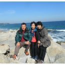 동녁공원 Daum카페
