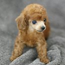 남양별내5 이미지