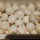 최병철농장 이미지