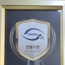 안경의 성 이미지