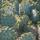 창암농장 이미지