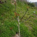 가실농장 이미지