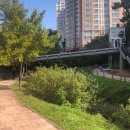 원천리천 이미지