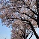 고천상회