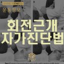 세라샤인 이미지