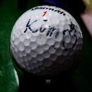 (주)동광주택 제주부영CC (대중형 27홀) | 골프저널 2011년12월호