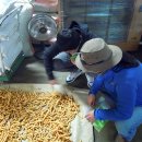 (유)대효제약 이미지